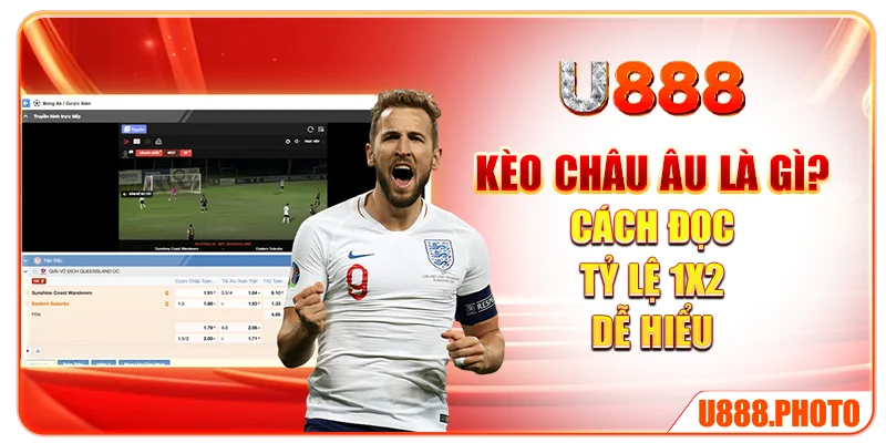 Kèo Châu Âu Là Gì? Cách Đọc Tỷ Lệ 1X2 Dễ Hiểu